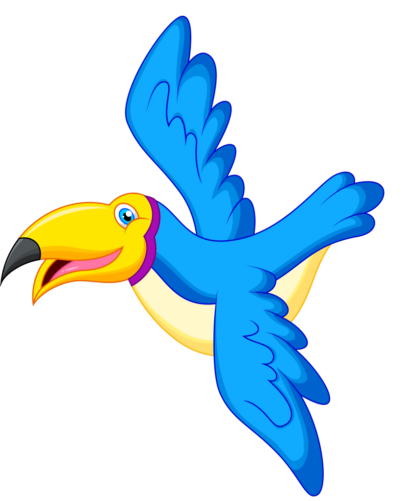 картинка png попугаи