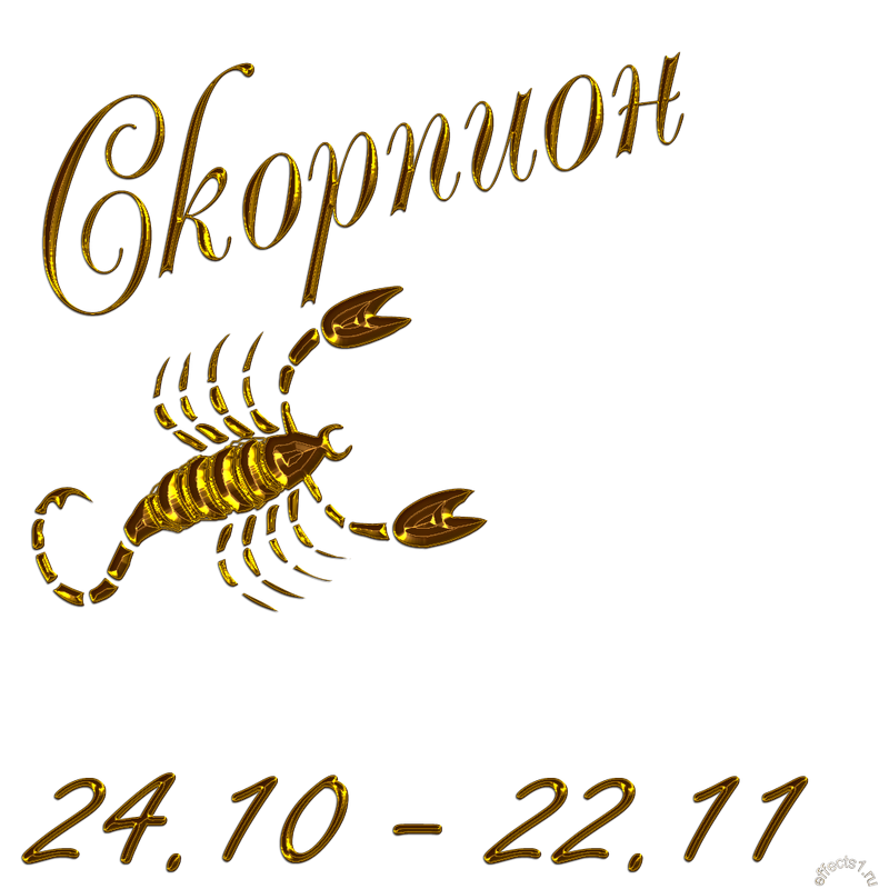 картинка png Скорпион